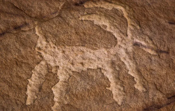 Камень, древность, Nevada, петроглифы