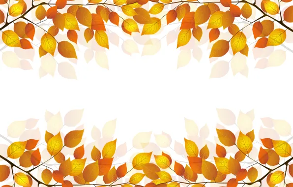 Картинка осень, листья, веточка, белый фон