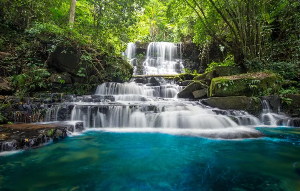 Картинка лес, река, водопад, forest, каскад, river, landscape, jungle