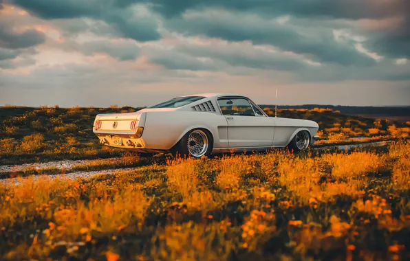 Mustang, Ford, Shelby, Car, Sunset, GT350