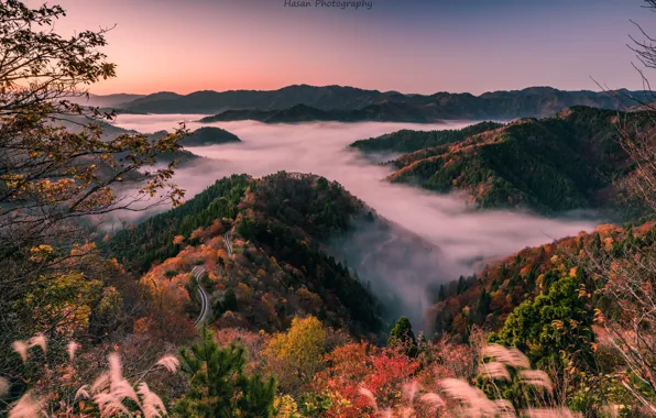 Japan, утренний туман, Shiga Prefecture, лесистые холмы