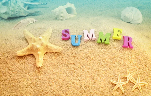 Песок, море, пляж, лето, отдых, ракушки, summer, beach