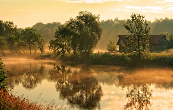 Картинка туман, дом, река, утро