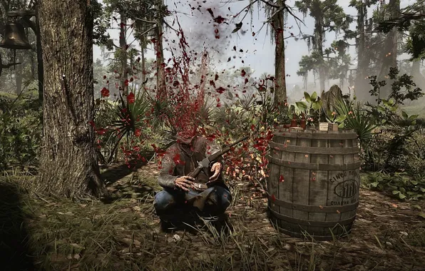 HDR, Game, Trees, Headshot, Barrel, UHD, Red Dead Redemption 2, Xbox One X