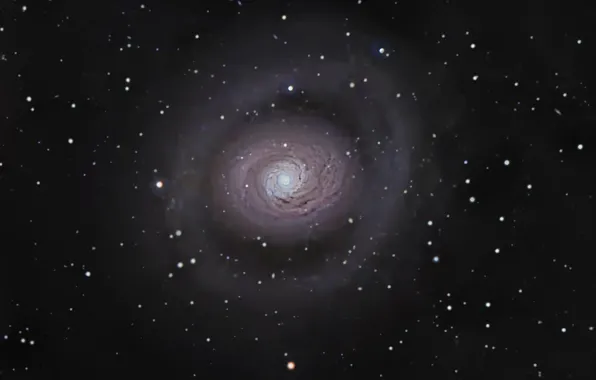 Картинка галактика, спиральная, в созвездии, Гончих Псов, M 94