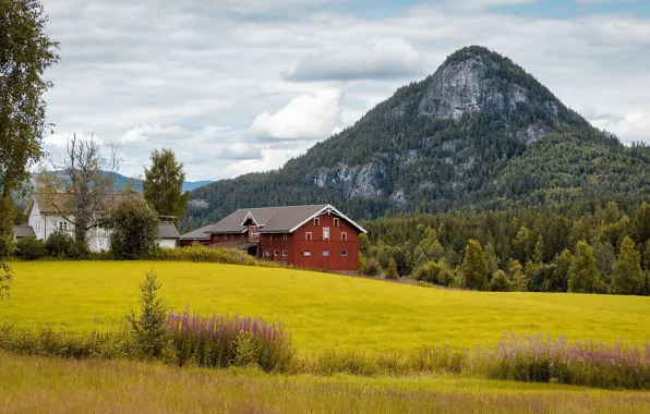 Гора, Норвегия, ферма, Norway