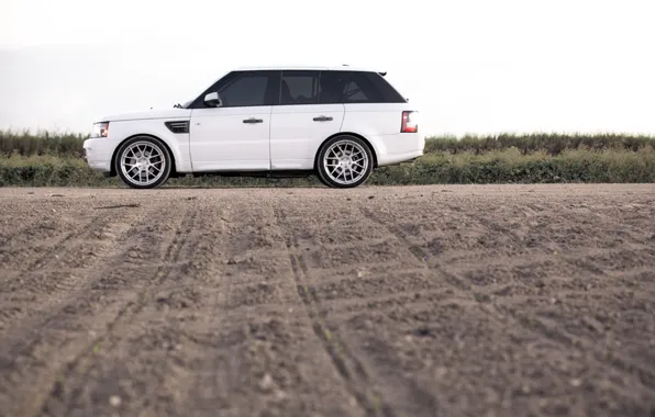 Белый, Rover, Range