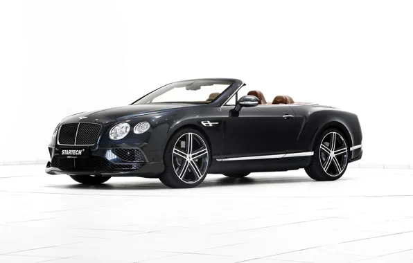 Bentley, Continental, белый фон, кабриолет, бентли, континенталь, Convertible