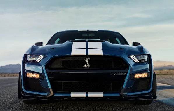 Картинка синий, Mustang, Ford, Shelby, GT500, вид спереди, 2019