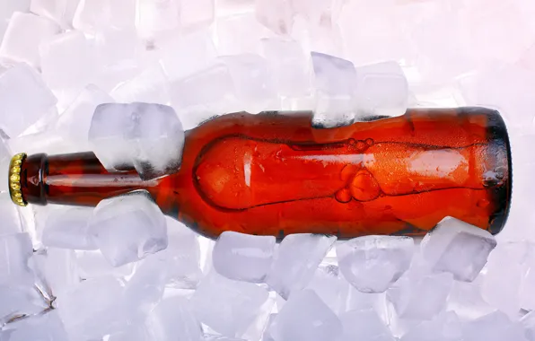 Бутылка, пиво, кубики льда