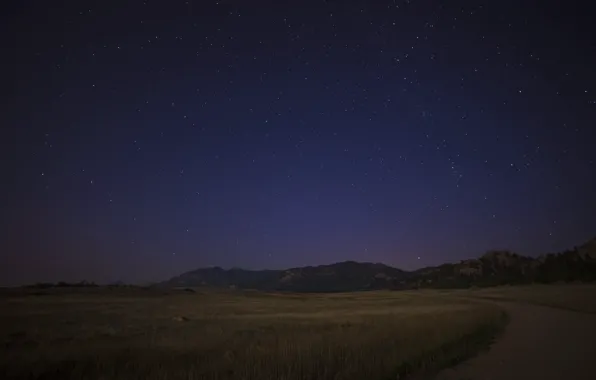 Sky, field, night, stars, darkness