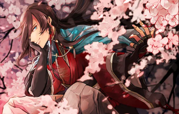 Цветы, весна, сакура, парень, Touken Ranbu, Танец Мечей, Izumi no Kami Kanesada