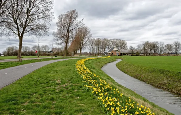 Картинка city, nature, Town