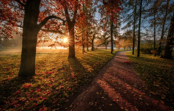 Картинка осень, солнце, лучи, деревья, пейзаж, природа, парк, листва