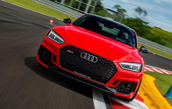 Audi, RS5, Coupe, RS 5, 2019