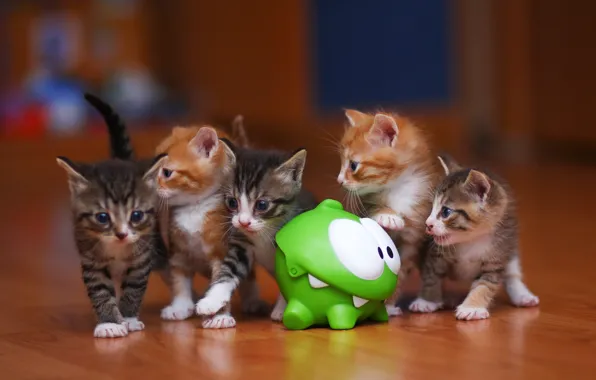 Котенок, котята, game, cat, котики, cats, cut the rope, Ам Ням&lt;