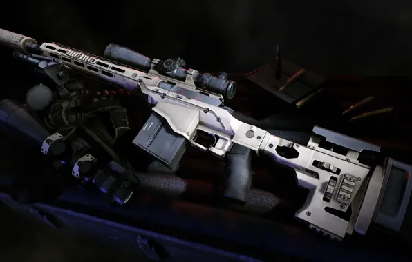 Оружие, guns, прицел, глушитель, снайперская винтовка, Sniper Ghost Warrior 2, Remington MSR