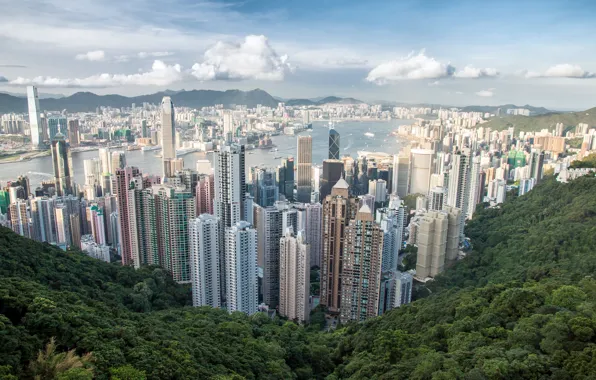 Город, гора, небоскребы, панорама, Hong Kong, Victoria Peak