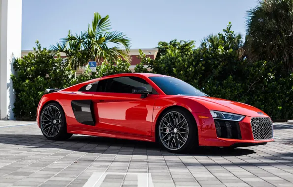 Картинка Audi, V10, HRE, r8, Whiils