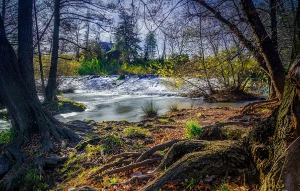 Картинка осень, деревья, река, ручей