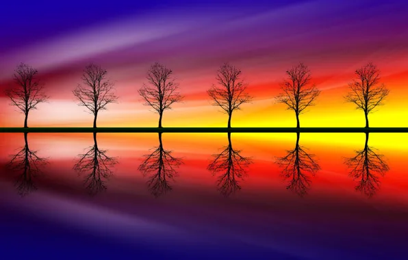 Картинка цвета, деревья, отражение, Trees