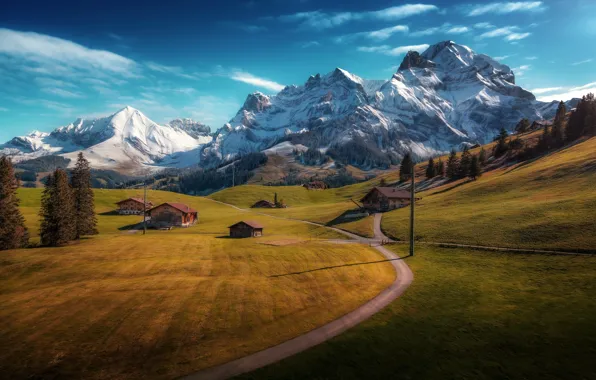 Картинка дорога, деревья, горы, Швейцария, деревня, домики, Switzerland, луга