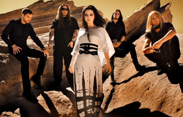 Скалы, группа, Amy Lee, Evanescence