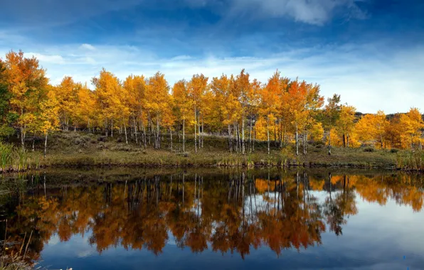 Картинка осень, небо, облака, деревья, озеро