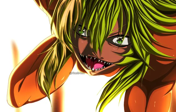 Клыки, парень, псих, Nico, Nanbaka