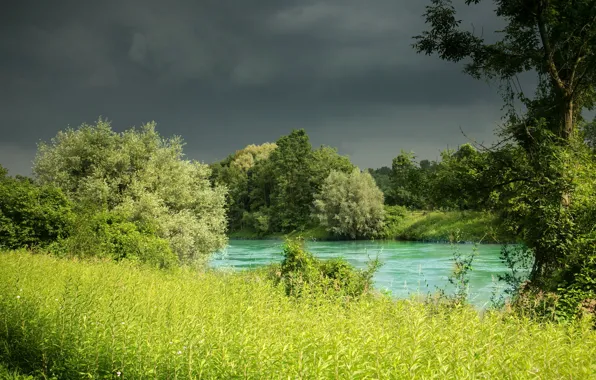 Картинка трава, деревья, природа, река, Германия, Бавария