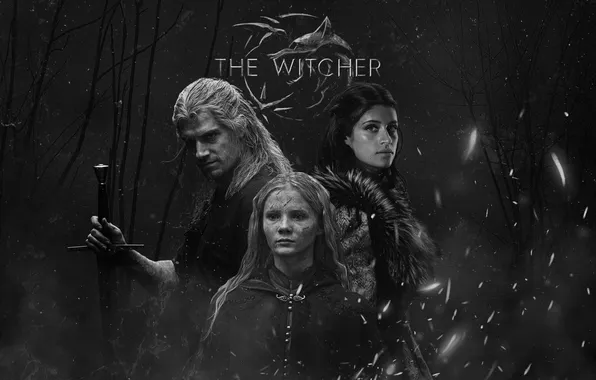 Картинка fantasy, The Witcher, movie, TV series