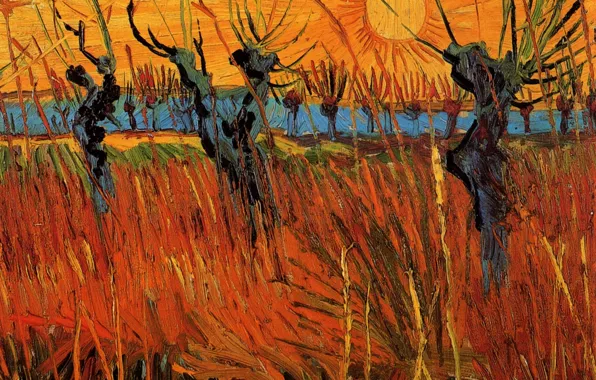 Картинка солнце, деревья, Vincent van Gogh, Willows at Sunset