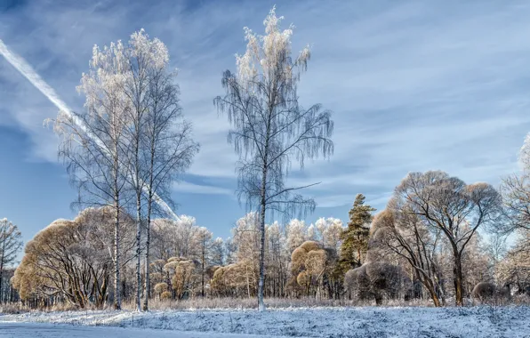 Зима, Russia, Leningrad Oblast, Vsevolozhskiy Raion