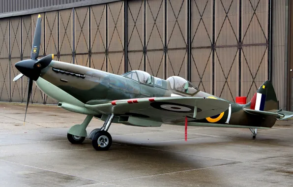 Картинка аэродром, британский, учебно-тренировочный самолет, Spitfire Tr.9