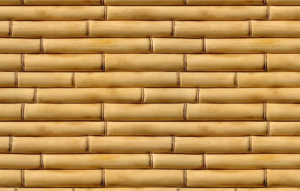 Yellow, pattern, bamboo