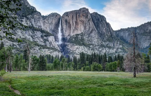Деревья, пейзаж, горы