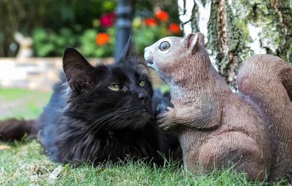 Кошка, трава, кот, взгляд, дерево, поляна, черный, портрет