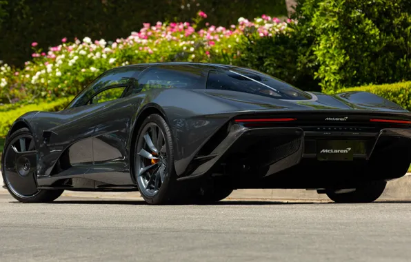 Картинка McLaren, Speedtail, McLaren Speedtail