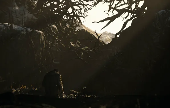 Dark, Ethan Winters, RE Village