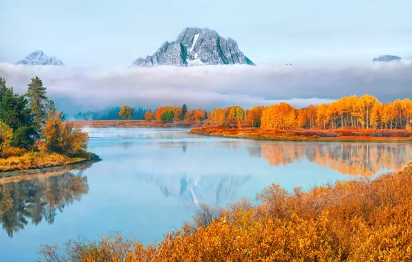 Картинка осень, лес, вода, облака, горы, туман, пар, США