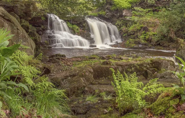 Картинка Англия, водопад, каскад, England, North York Moors, Water Ark Foss