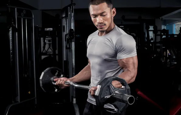 Gym, training, arms, bodybuilder