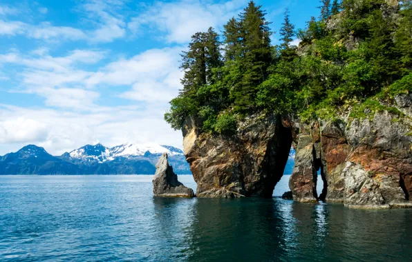 Картинка деревья, горы, камни, скалы, берег, Аляска, США, фьорды