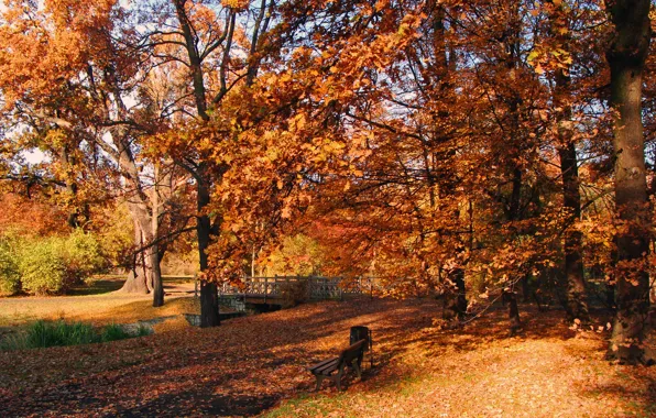 Картинка Осень, Скамейка, Польша, Парк, Nature, Fall, Листва, Park