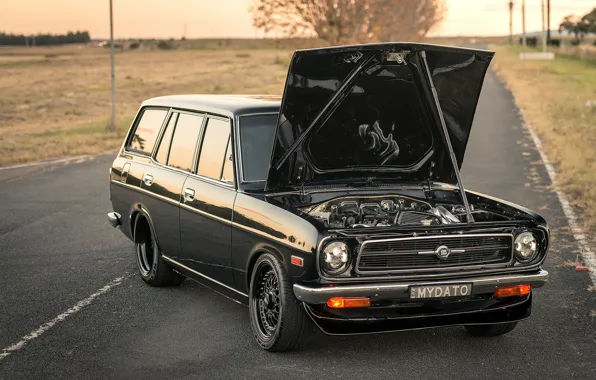 Datsun, 1972, Wagon, 1200, B210