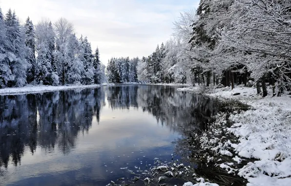 Картинка зима, снег, деревья, река, landscape, winter, snow