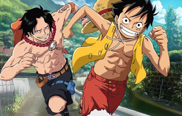Game, One Piece, pirate, hat, anime, captain, asian, brothers