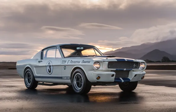 Shelby, Shelby GT350, GT350, 1965, Mustang, Ford