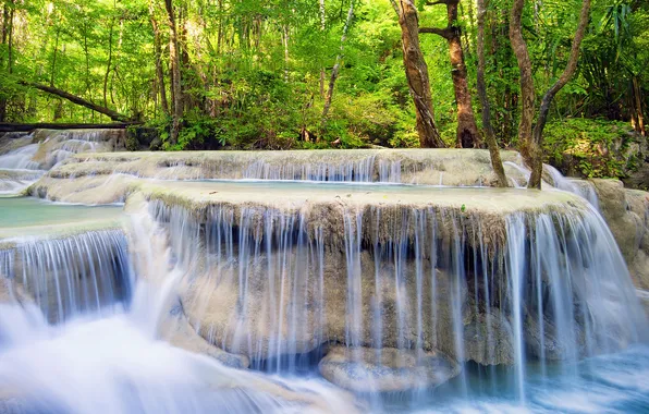 Картинка зелень, лес, деревья, река, водопад