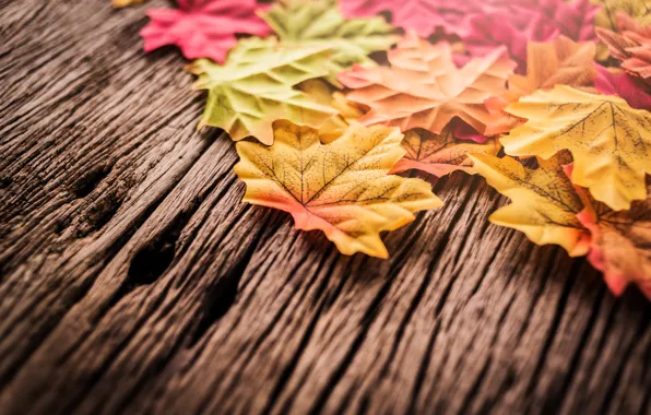 Картинка осенние, фон, leaves, autumn, листья, дерево, wood, background